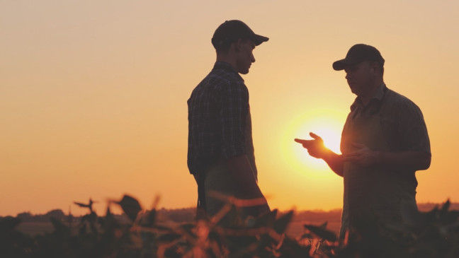 Two male farmers in baseball hats stand talking in a field with the sun setting behind them. There are tall plants around them. 