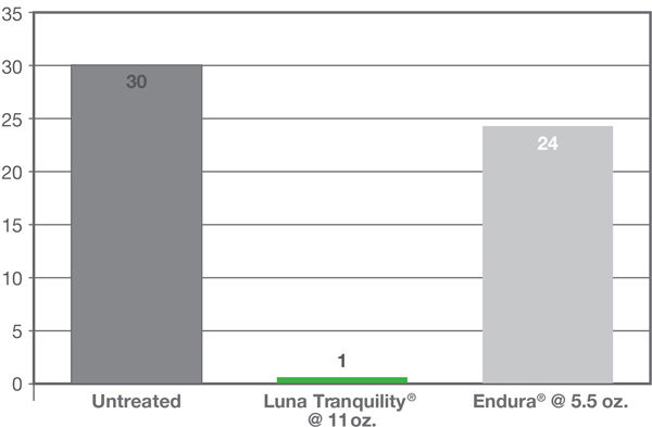 Percent Early Blight Severity Study