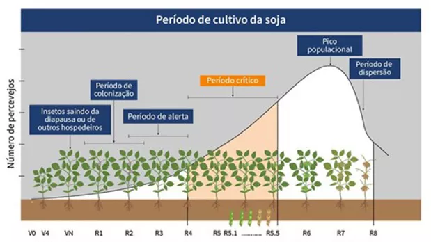 Feature Section Image