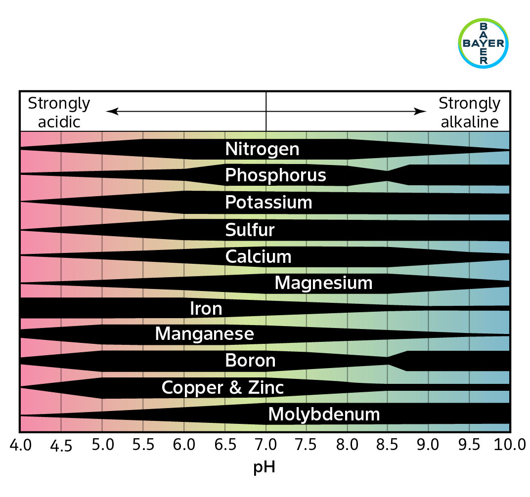 PH Infographic