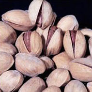 Group of pistachios, Luna fungicide performance in controlling Alternaria
