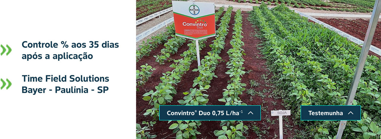 Controle % aos 35 dias após a aplicação Time Field Solutions Bayer - Paulínia - SP