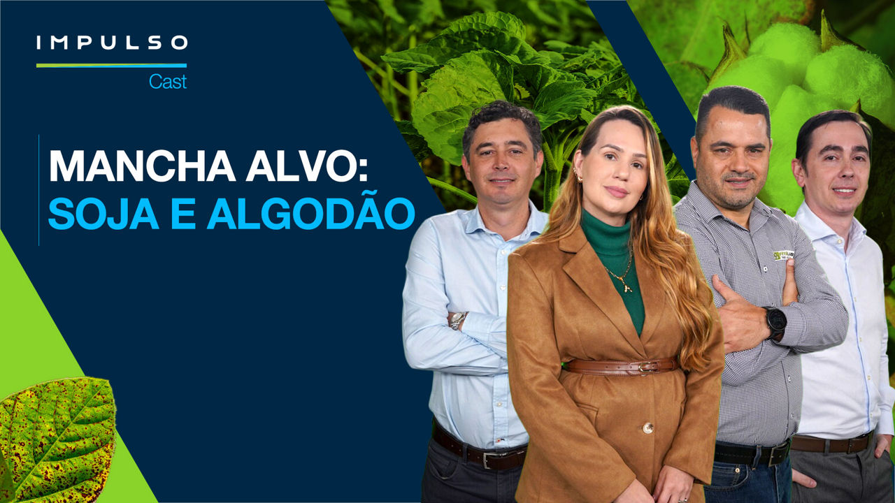 Por que a mancha-alvo virou o maior desafio na soja e no algodão?