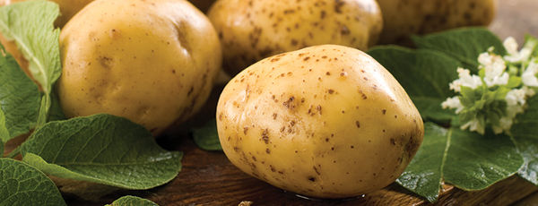 Potatoes