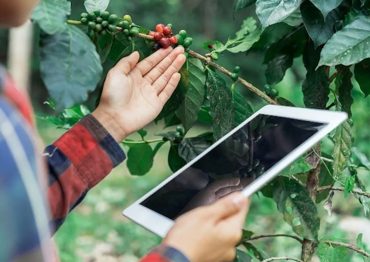Produtora de café com tablet