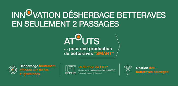 premier-desherbage-des-betteraves-avec-conviso-smart-les-cles-du-succes_Rich_Text_Editor_6.jpg