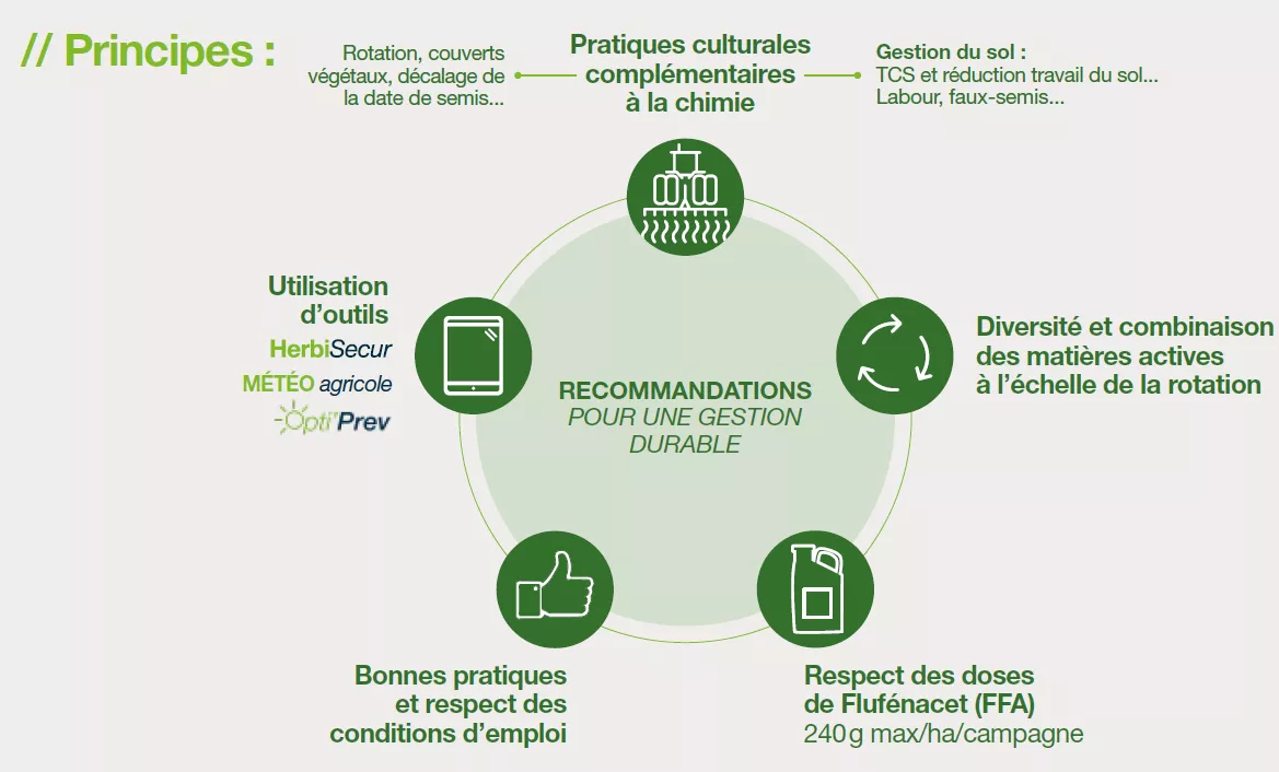 prevenir-le-risque-de-pollutions-diffuses-en-sols-draines_Rich_Text_Editor_2.png