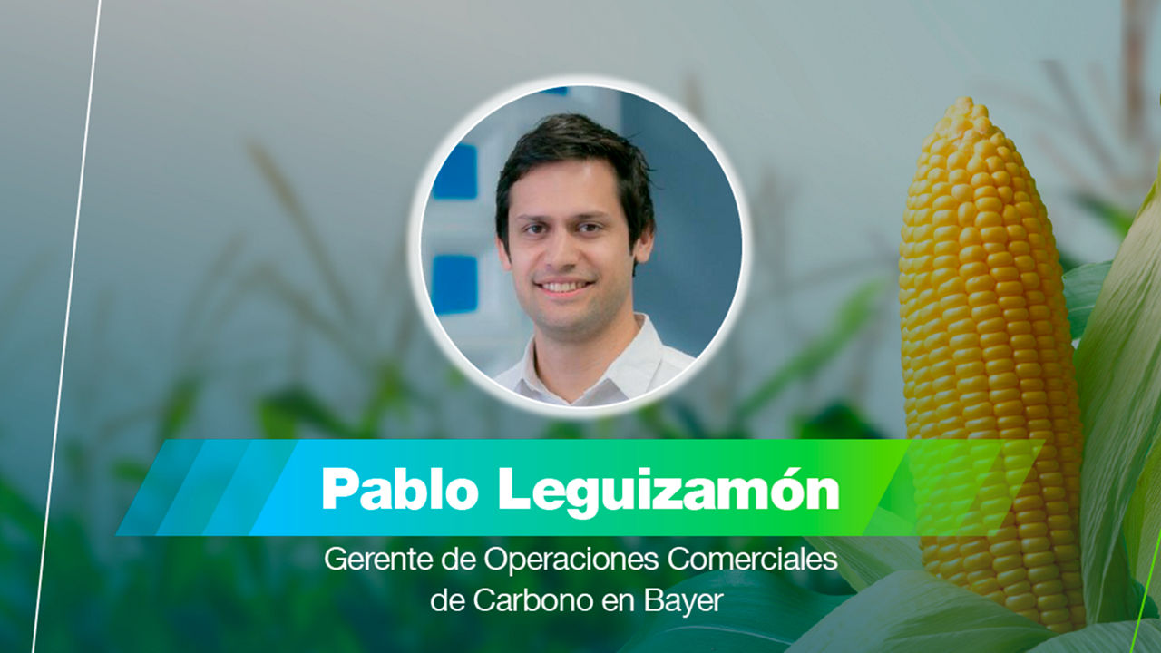 pro carbono