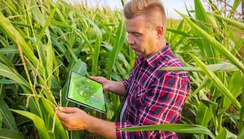 Produtor do Mato Grosso alcança retorno de R$25 mil após plantio assertivo da safrinha com dados da agricultura digital