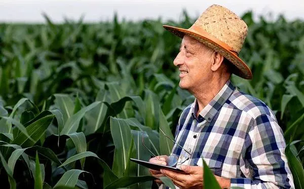Imagem de um homem em meio a uma plantação, usando um tablet para monitorar a lavoura