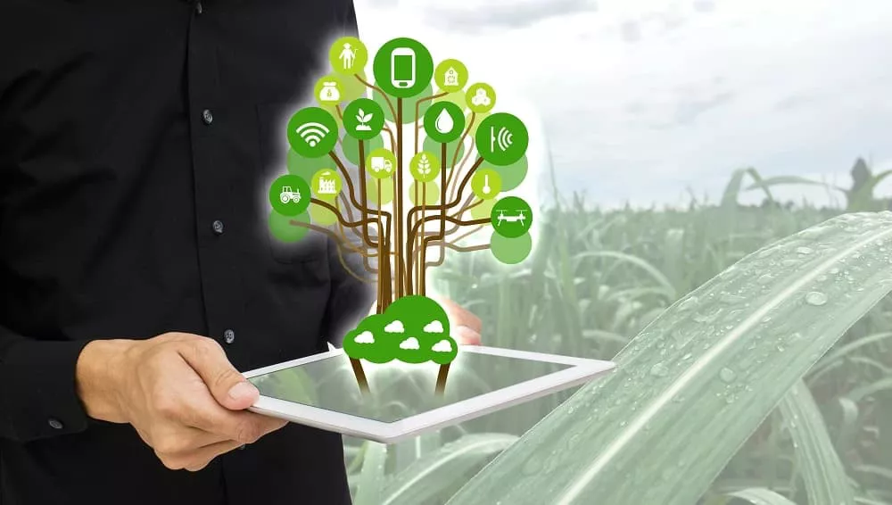 O blockchain é uma forma segura e distribuída para fornecer informações na cadeia produtiva agrícola