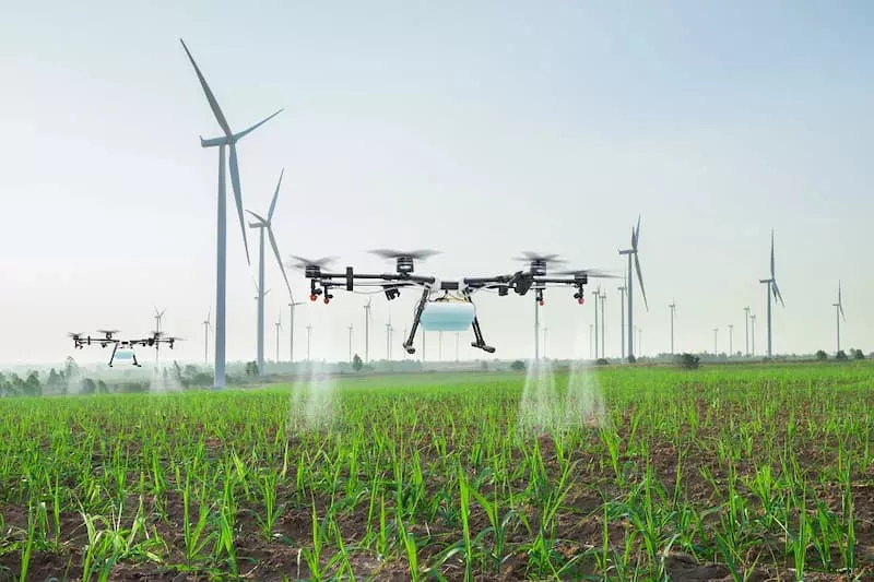 Drones podem ser usados para aplicação localizada de herbicidas