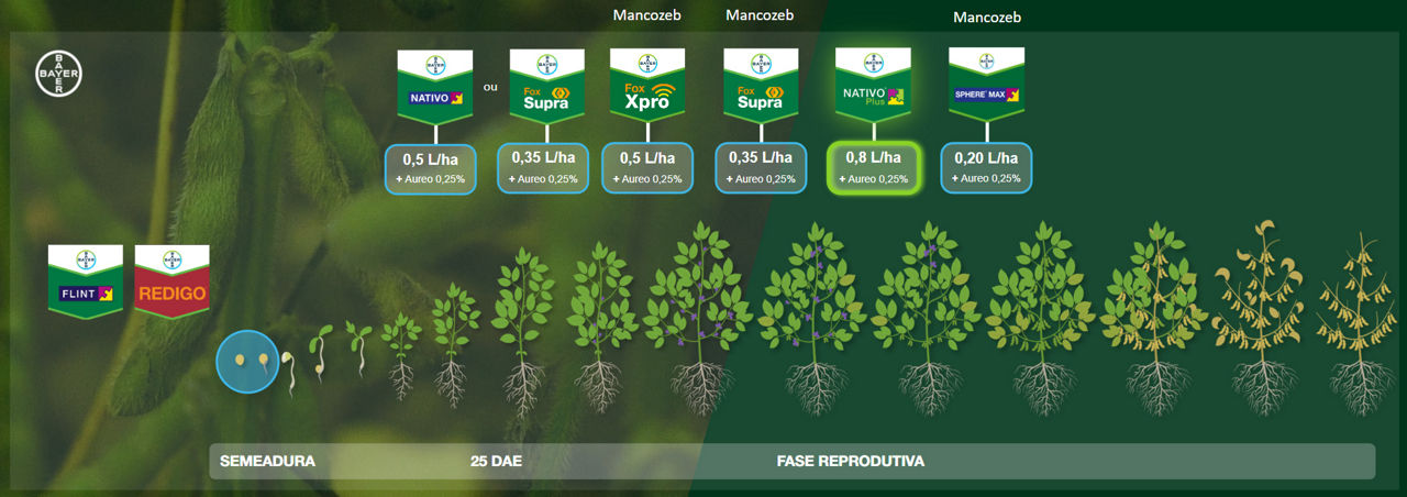Posicionamento Programa de Fungicidas Soja