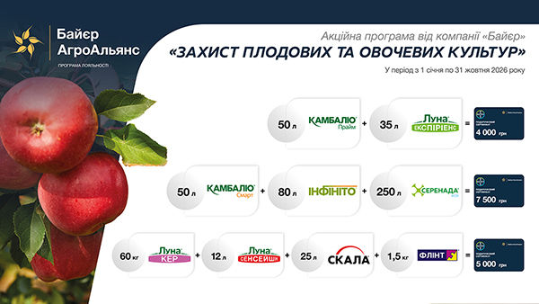 Promotions 3