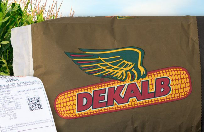 Promo Tools of  View DEKALB Seed Characteristics