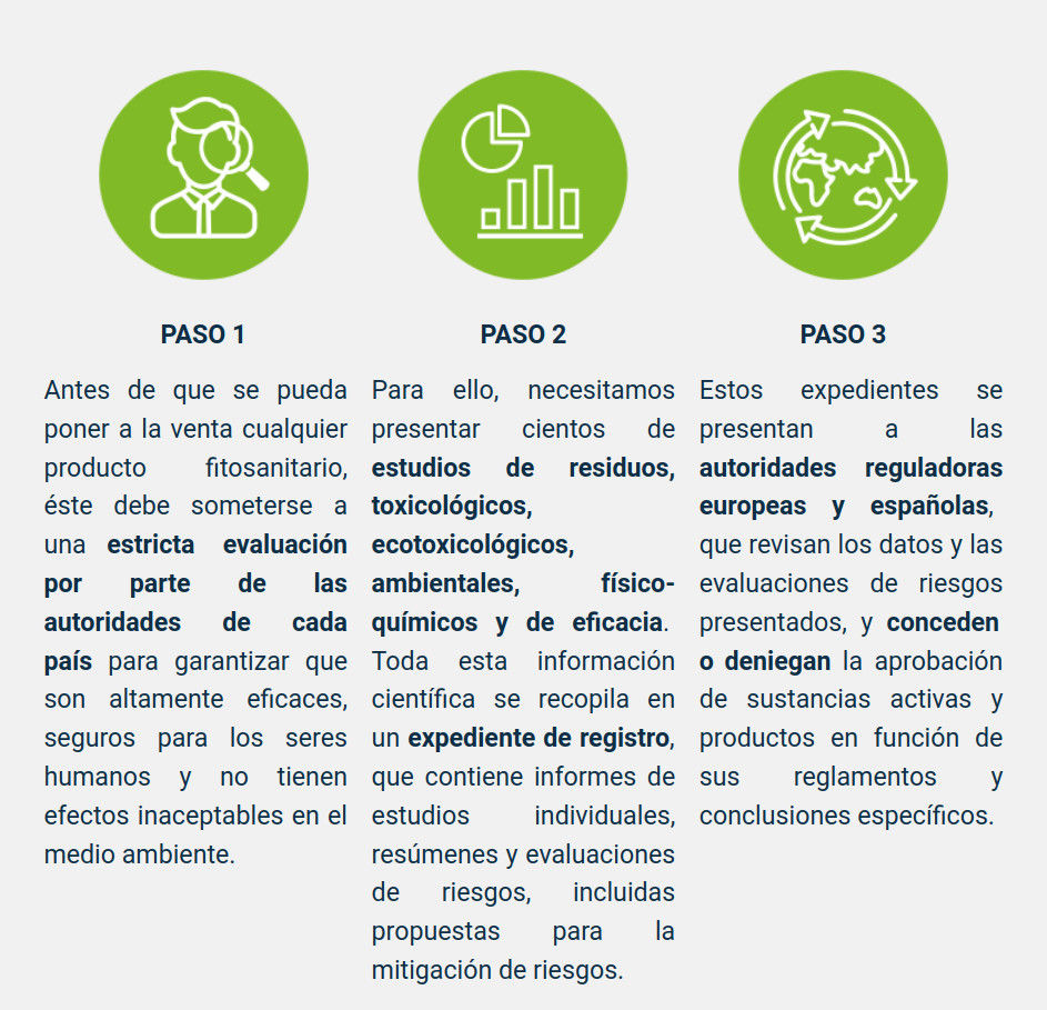 Quadro Cómo se aprueban los productos fitosanitarios