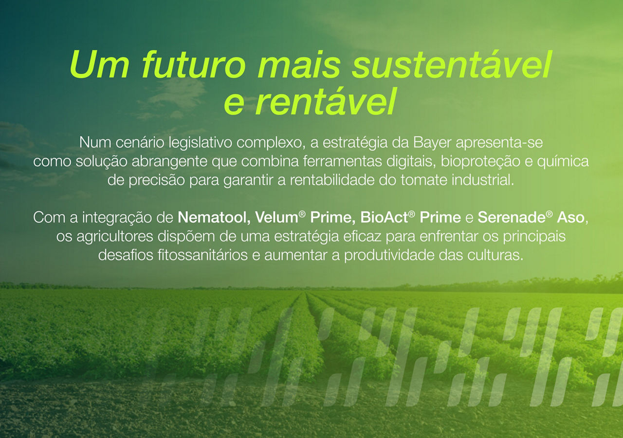 un futuro más sostenible y rentable