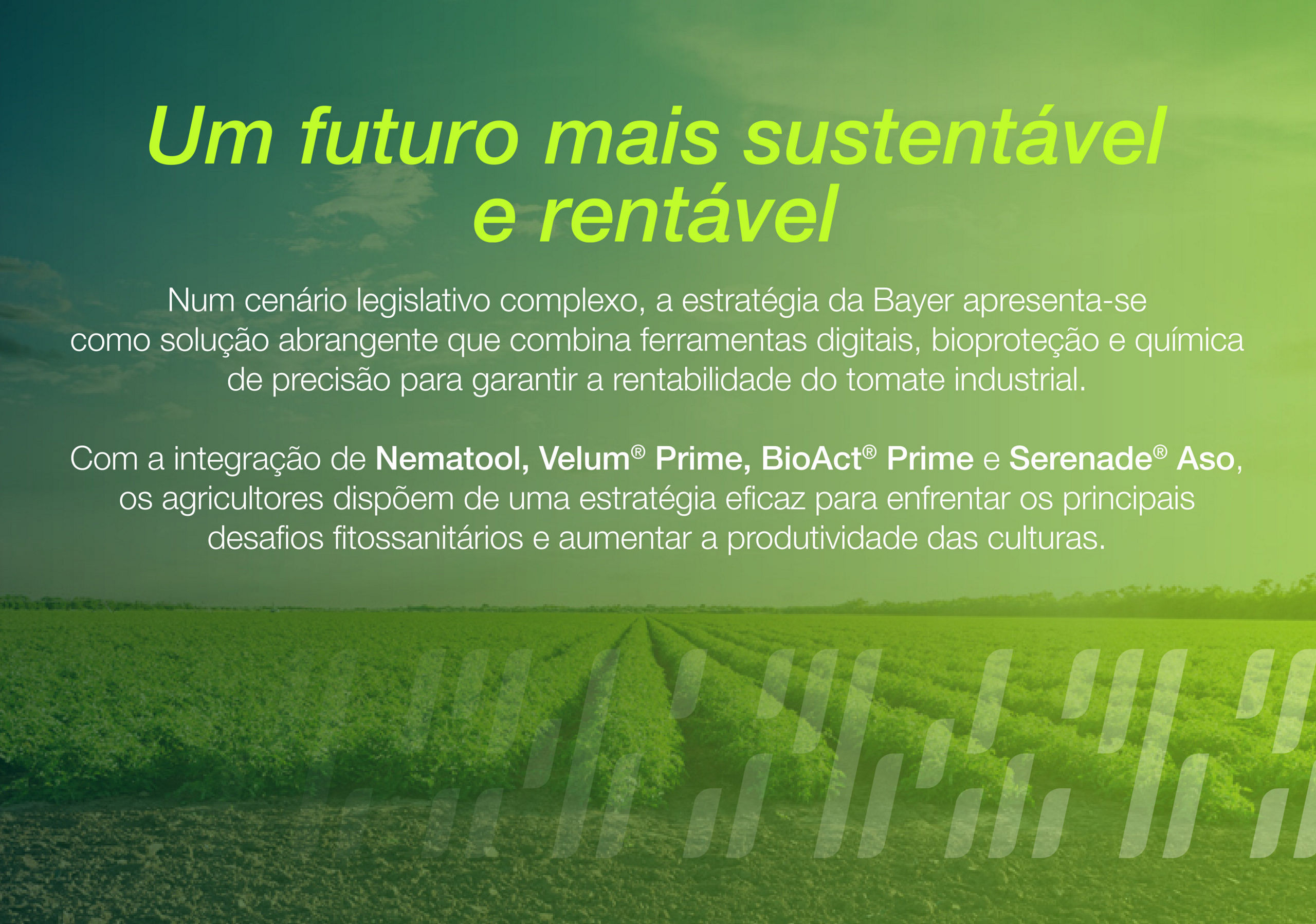 un futuro más sostenible y rentable