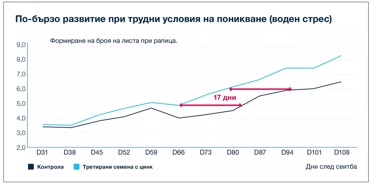 Влияние на микроелемента цинк върху растежа и развитието на рапица при ранни фази
