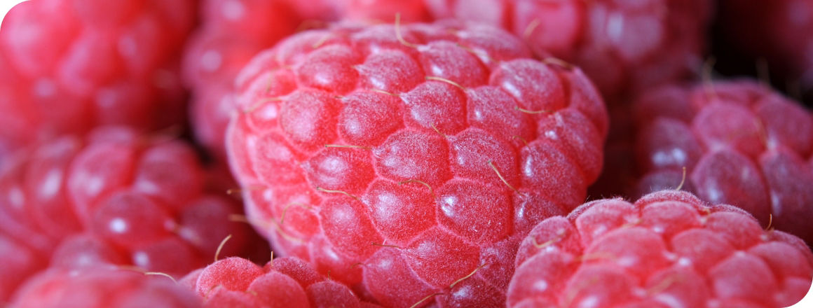 Raspberry