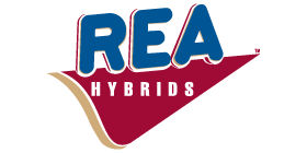 Rea hybrids blue and red brand logo