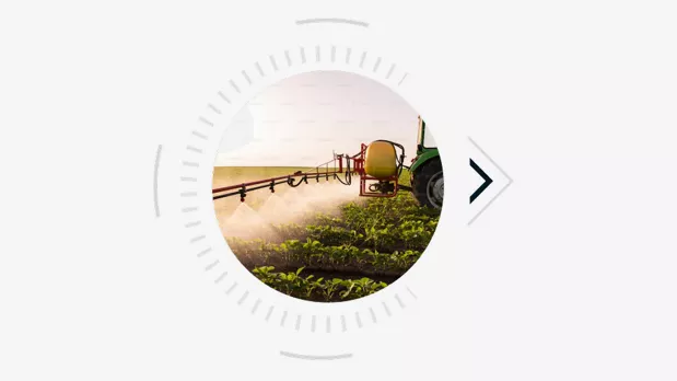 Feature Section Image