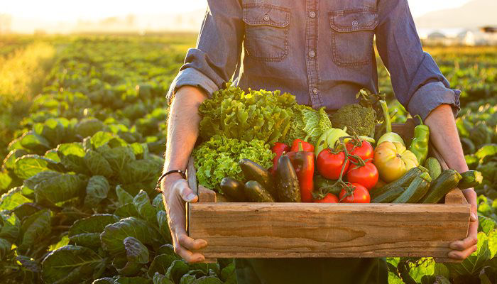 release-bayer-amplia-portfolio-de-hortifruti