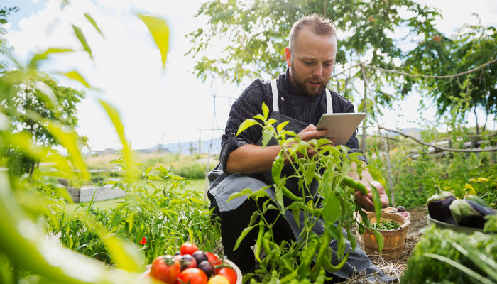 Com trailer itinerante, Bayer leva tecnologia e informação a pequenos e médios produtores de hortifrúti  