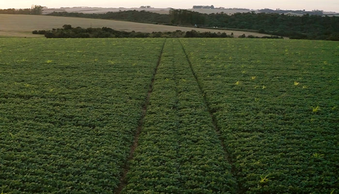 Foto aérea de uma fazenda