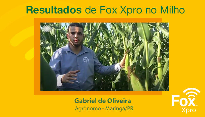 Resultados de Fox Xpro no Milho
