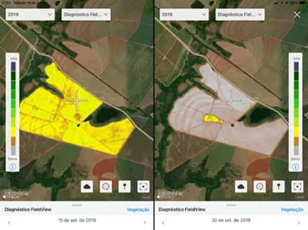 Comparação entre mapas de vegetação permite detectar área atingida por queimadas