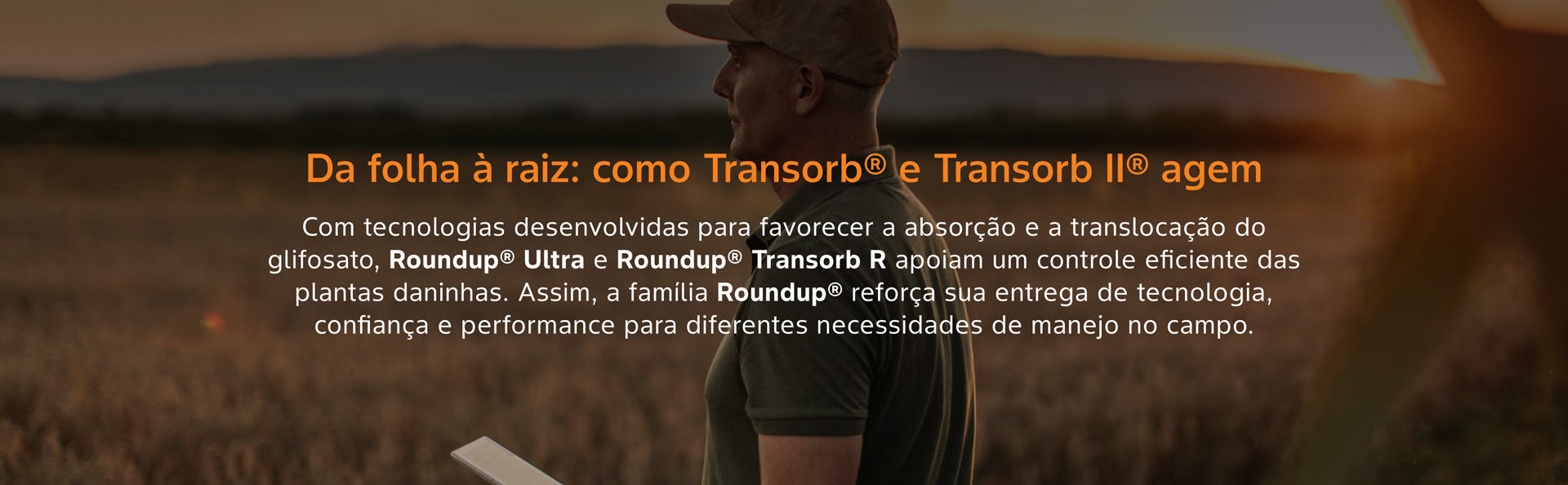 homem no campo de fundo com texto sobre transorb e transorb II sobreposto