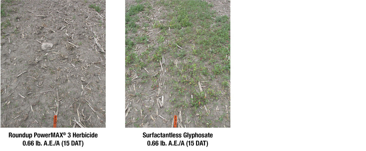 Roundup PowerMAX 3 herbicide surfactants vs. surfactantless glyphosate weed control images