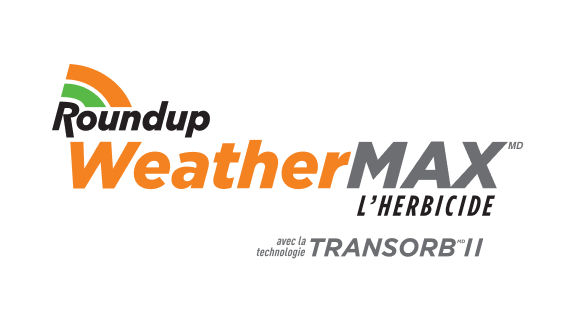 Logo Roundup WeatherMAX 