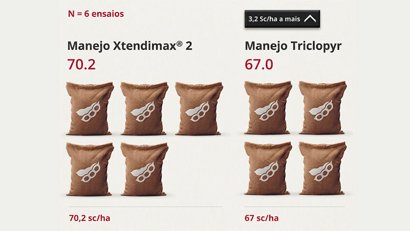 Mais rendimento e resultados em 6 ensaios com manejo de Xtendimax®2.