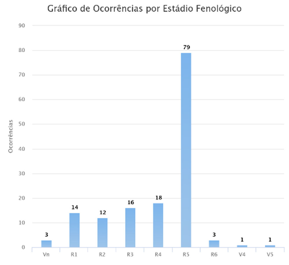 Gráfico