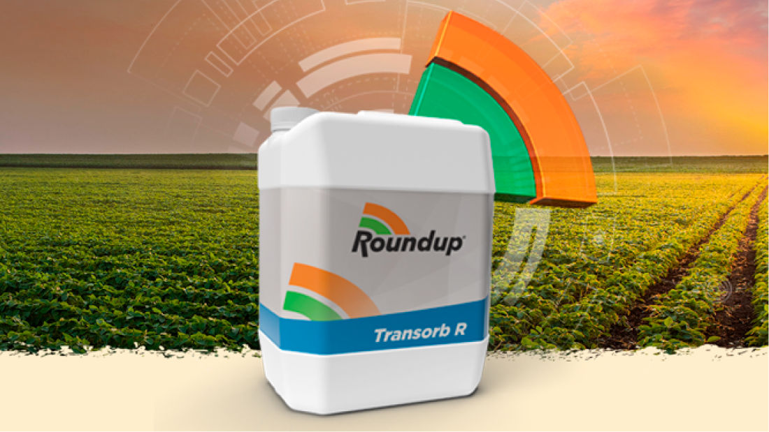 Roundup Transorb R®