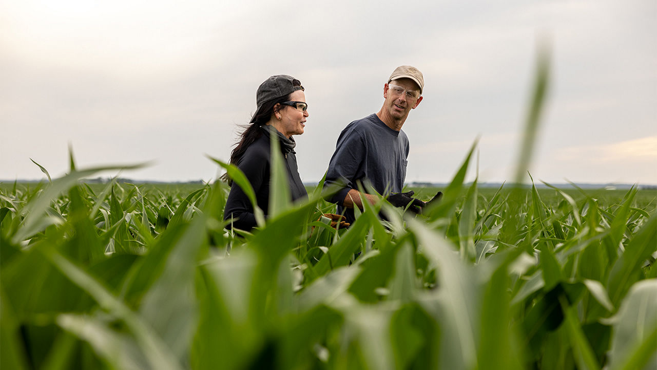 Two seedsmen interacting on a field