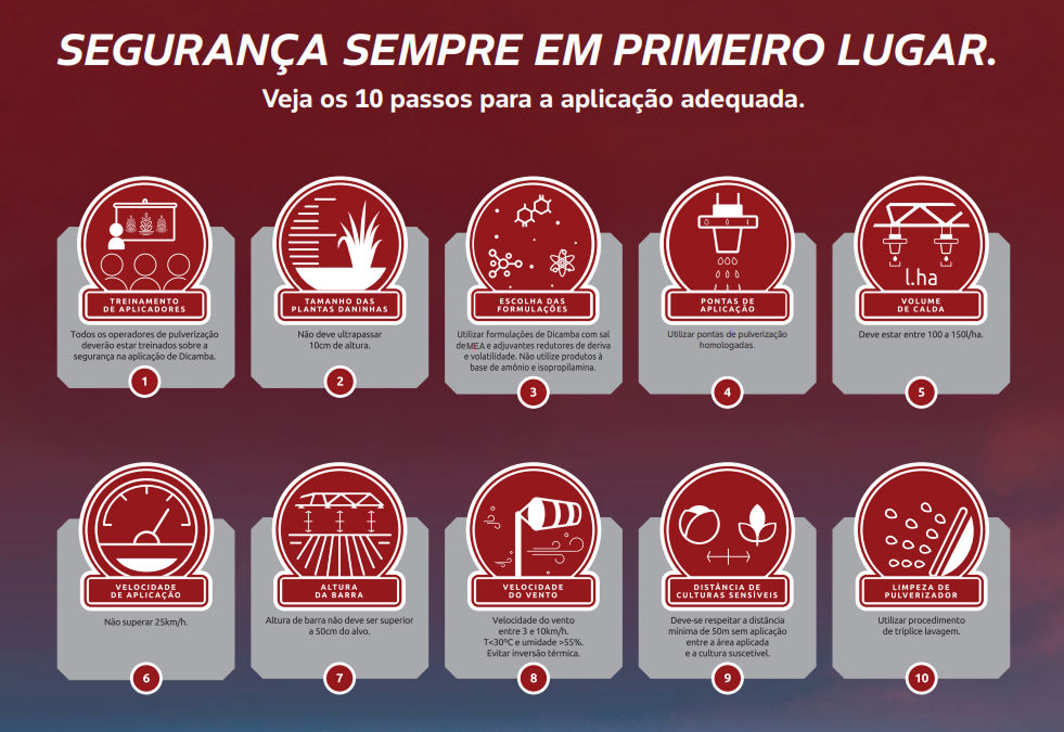 10 passos para aplicação adequada