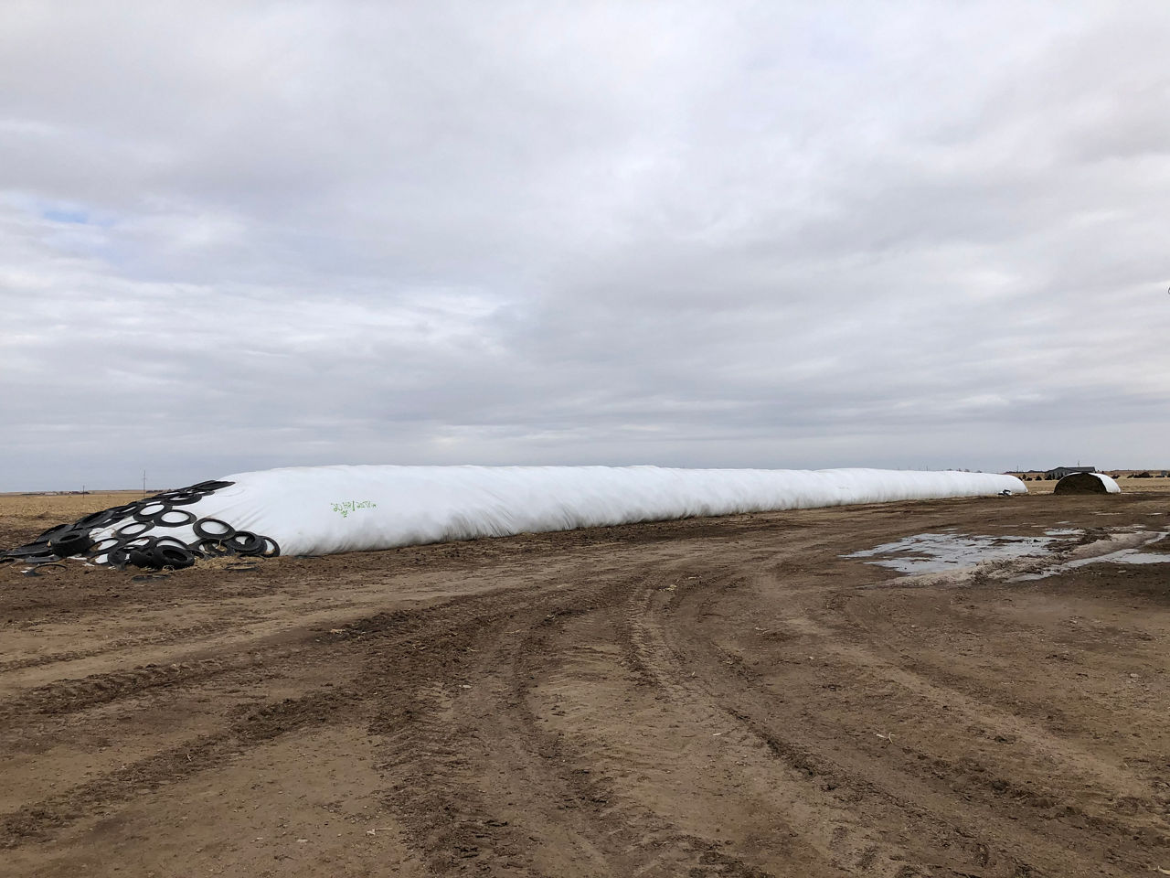 Large silage bag which is being used for storing corn silage
