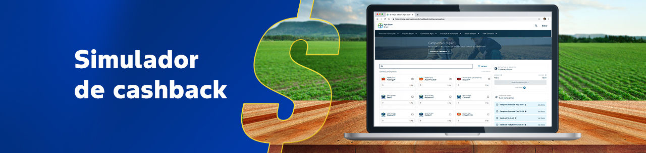 Simulador de cashback