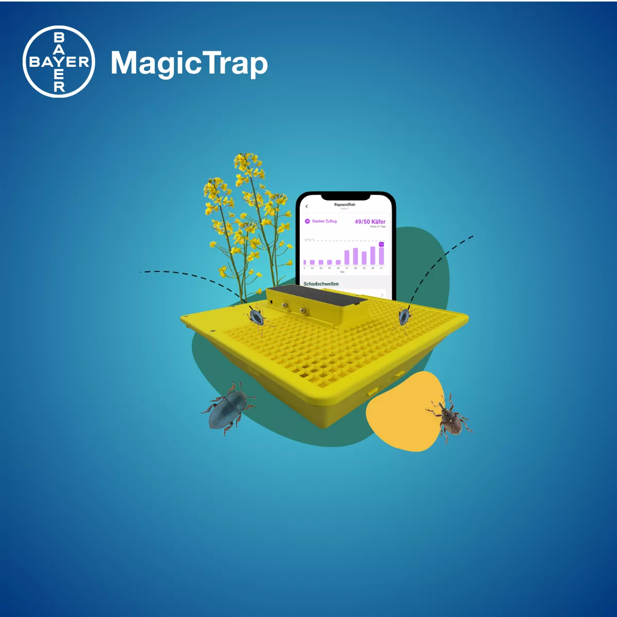 MagicTrap_1200x1200 - 1
