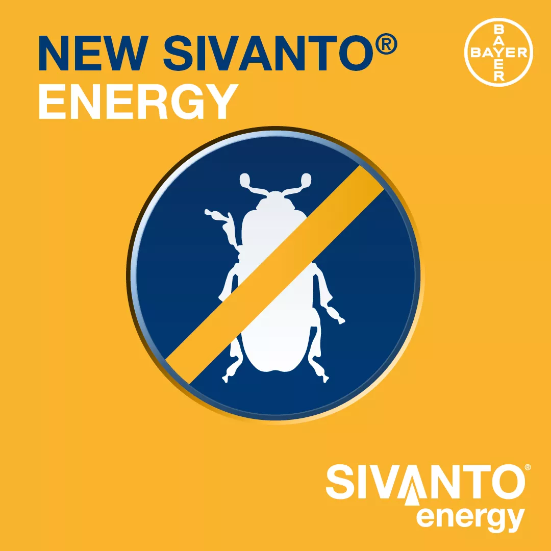 sivanto-energy-2025_Rich_Text_Editor_19.png