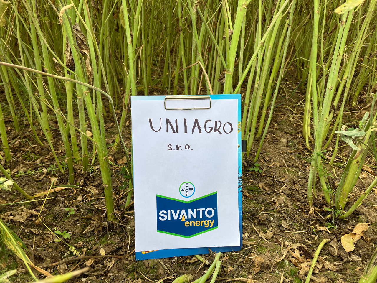 sivanto-energy-2025_Rich_Text_Editor_3.jpeg