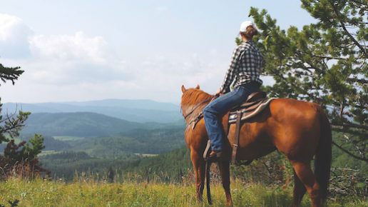 Person riding a horse, looking over a valley