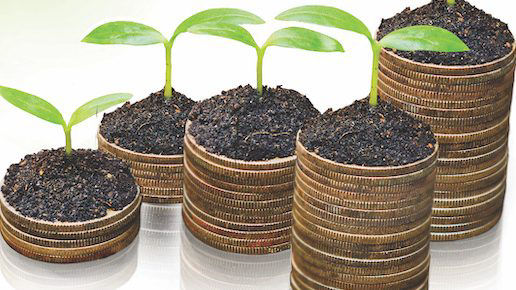 Rows of gold coins stacked with soil on top of each stack, and a green plant sprouting from each pile.