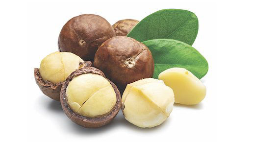 A close view of several macadamia nuts, some cracked open and some fully in their shells.