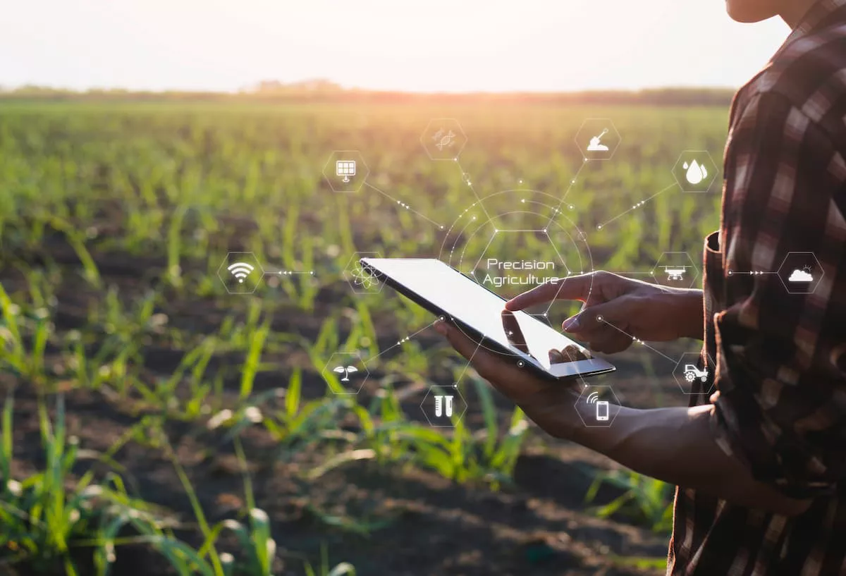 Agricultor analisa dados da lavoura com o auxílio de um tablet.