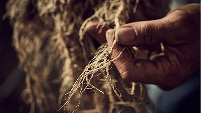 Promo Tools of 5 Modes of Action to Combat Above- and Below-Ground Pests.