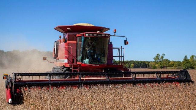 A blue sky in the background with a red combine harvester harvesting soybeans.